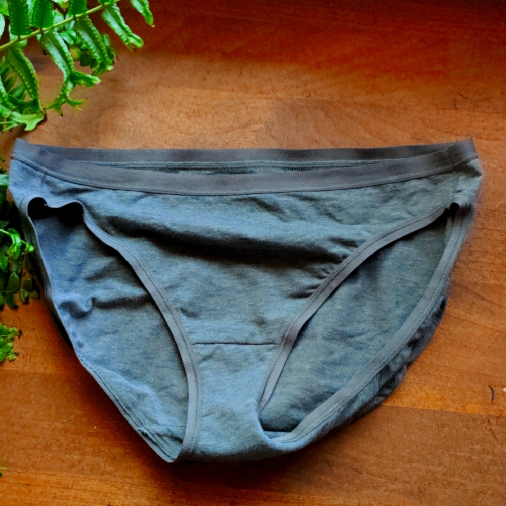 FeLiNa gray cotton briefs 2 pack